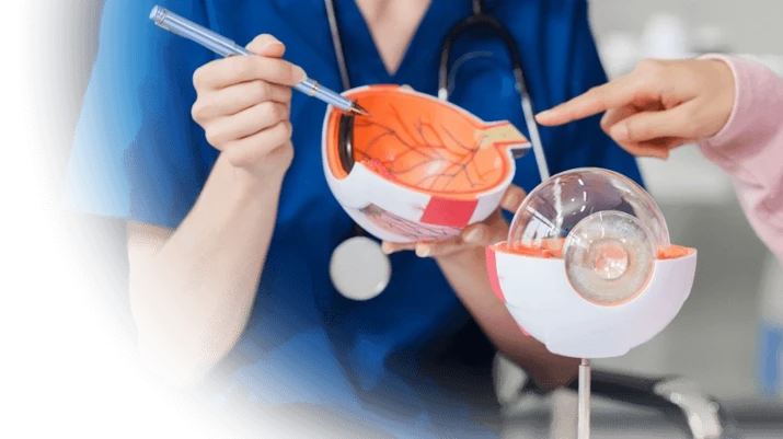 Paediatric Eye Diseases Services