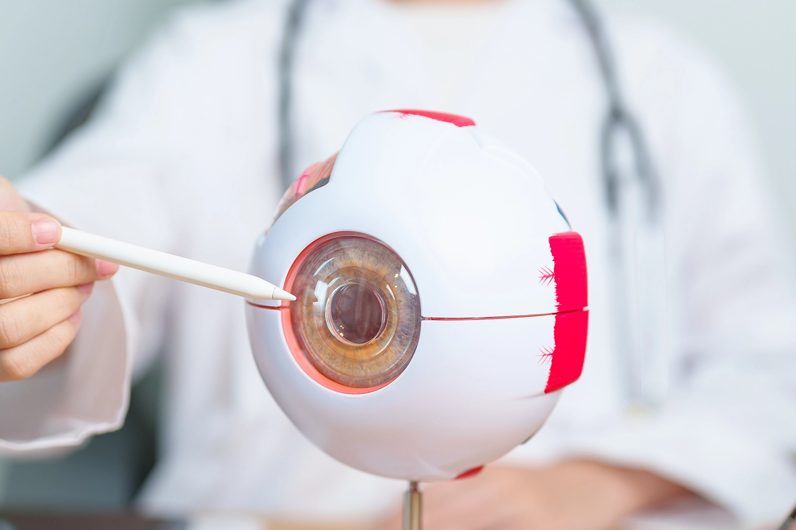 Doctor pointing at human eye anatomy model