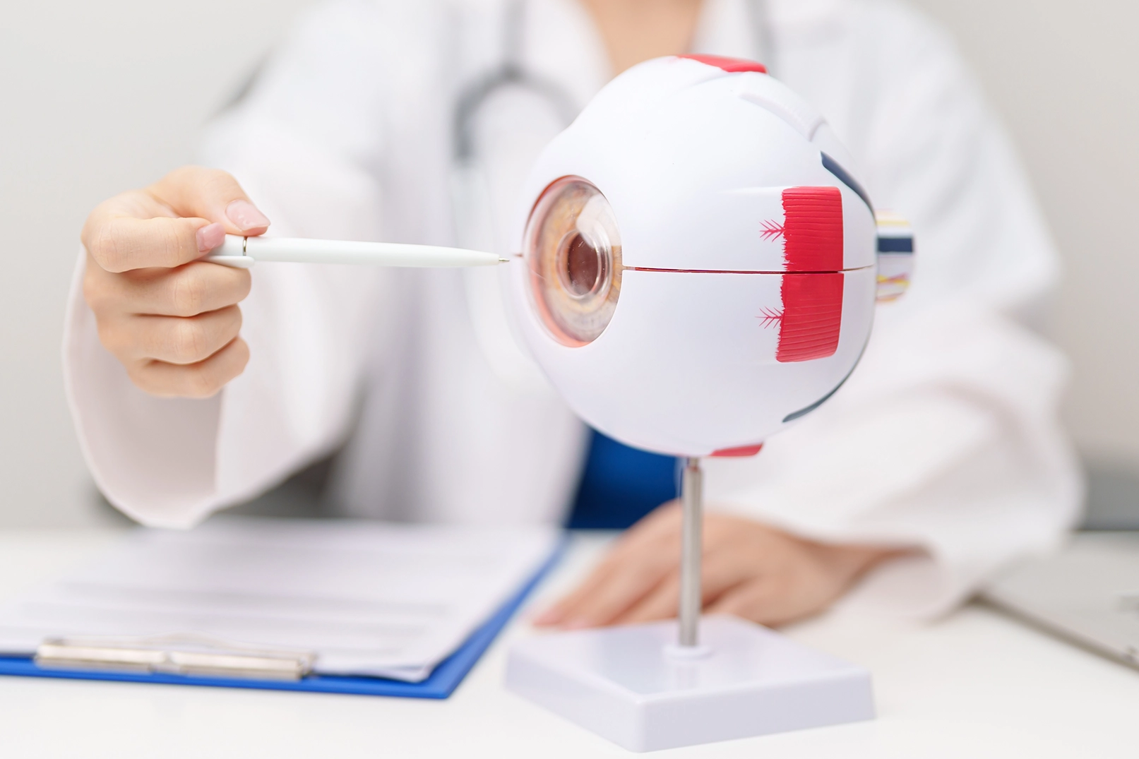 Doctor pointing at human eye anatomy model