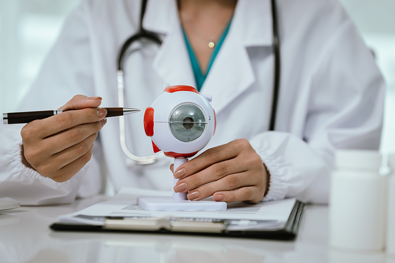 Glaucoma specialist using an eye model during a patient consultation.